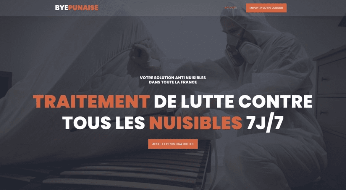 Aperçu du projet ByePunaise — Landing page — Génération de leads réalisé par Corentin Coursan